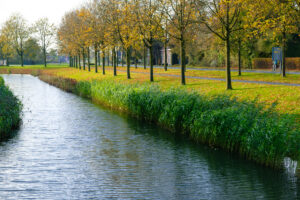 Brienenshofduurzaam.nl