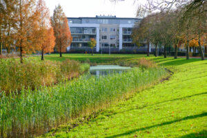 Brienenshofduurzaam.nl