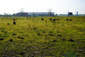 Brienenshofduurzaam.nl