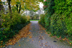 Brienenshofduurzaam.nl